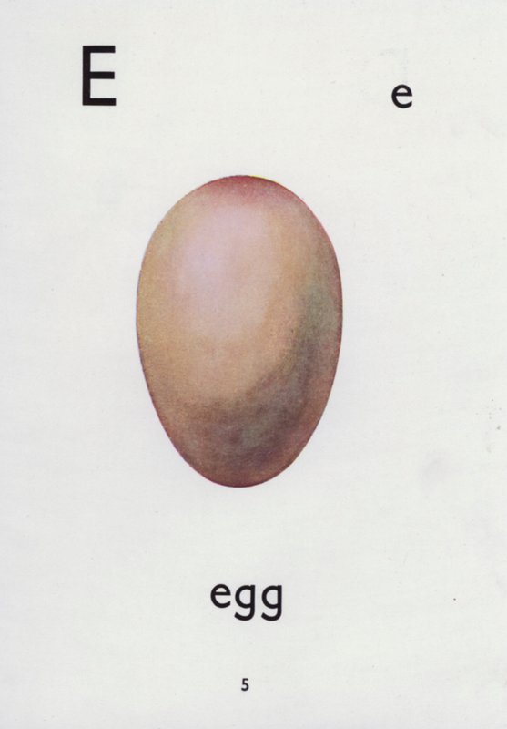 Letra E, ovo (cor litho) de English School