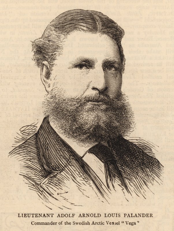 Tenente Adolf Arnold Louis Palander (gravura) de English School