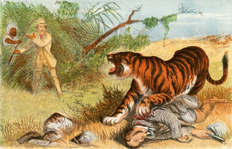 Tenente Arroz e o Tigre de English School