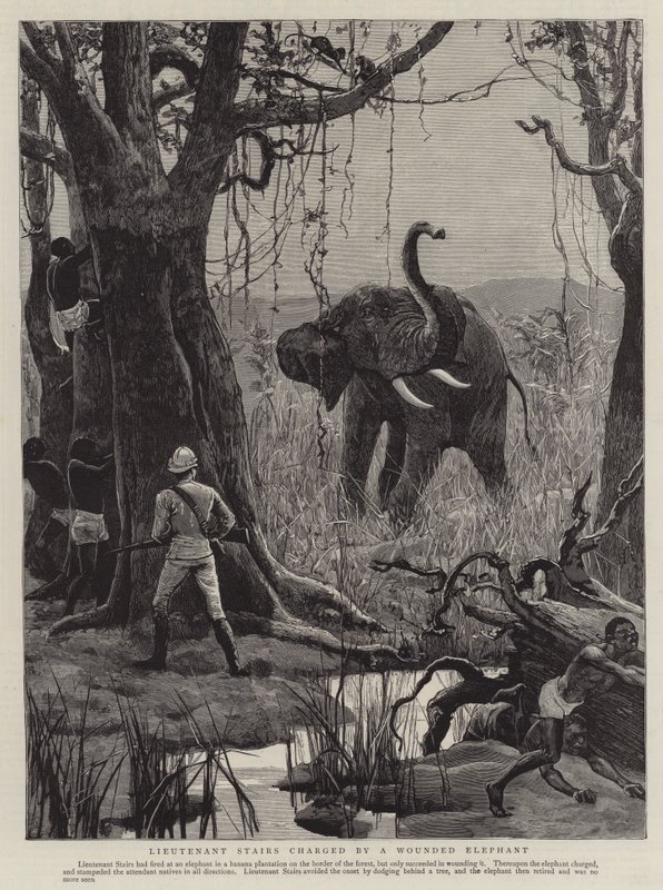 Tenente Escada carregada por um Elefante Ferido (gravura) de English School