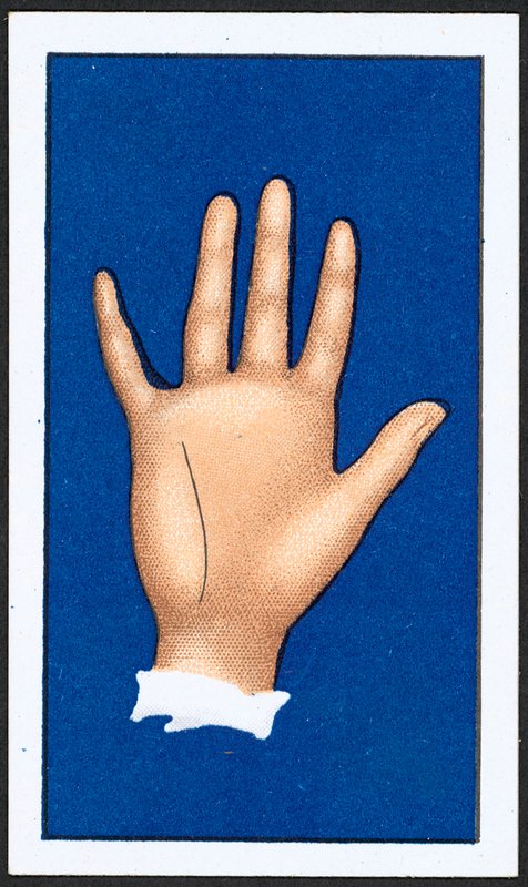 Linha de Intuição (cor litho) de English School