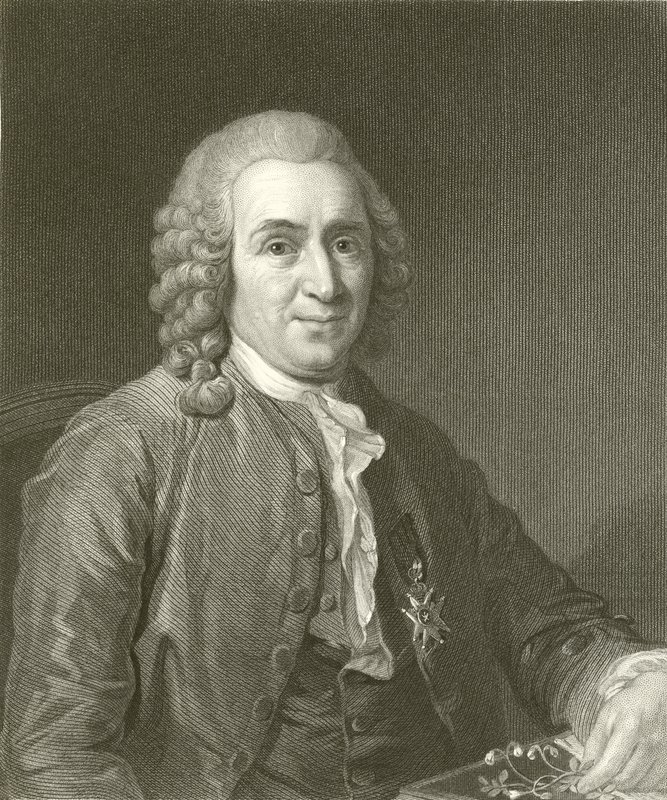 Linnaeus de English School