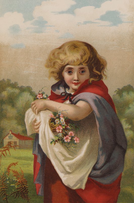 Pequeno Esqueça-Me-Não (chromolitho) de English School