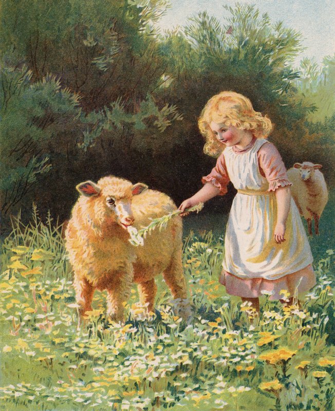 Menina alimentando uma flor a uma ovelha num prado (chromolitho) de English School