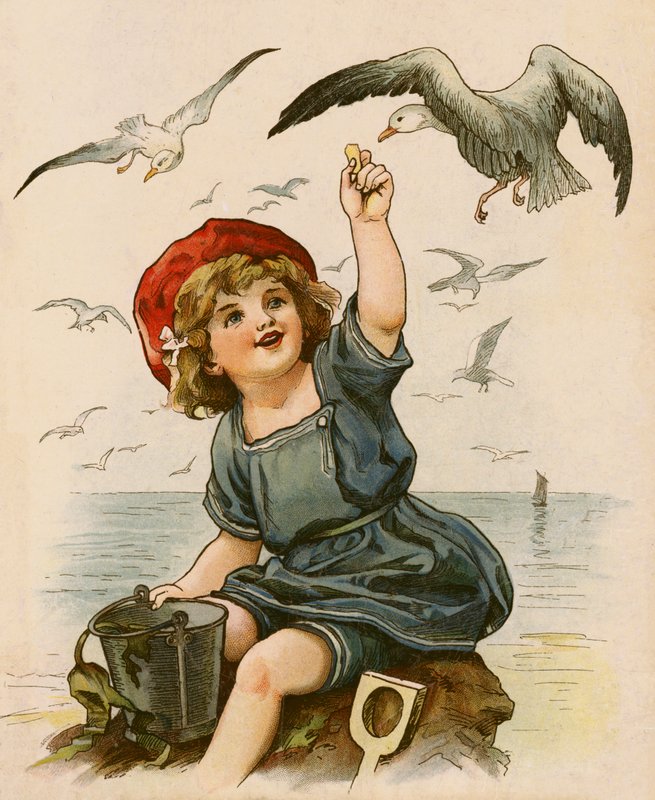 Menina alimentando gaivotas (lito colorido) de English School