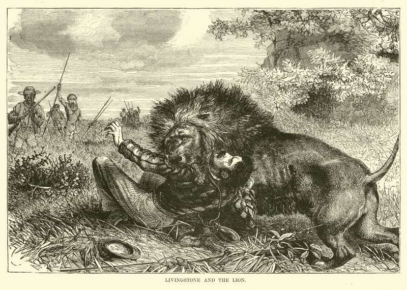 Livingstone e o leão de English School