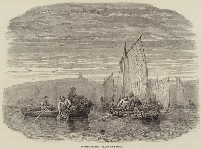 Lobster Fishing (gravura) de English School