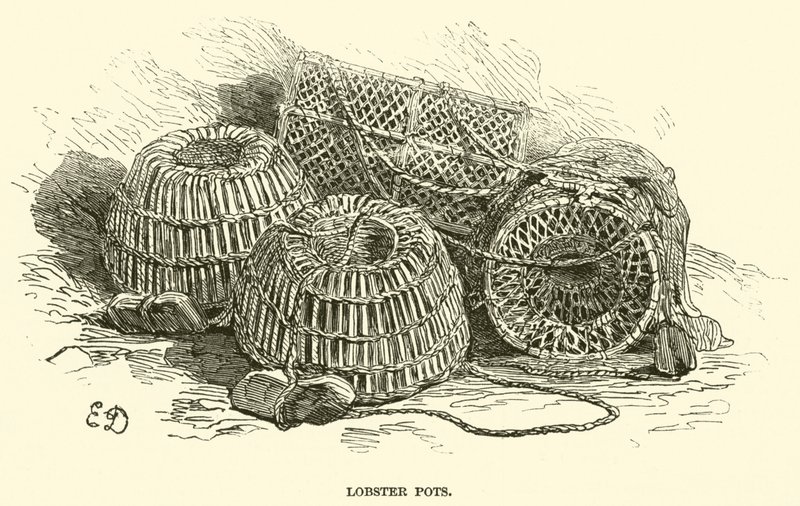 Panelas de Lagosta (gravura) de English School