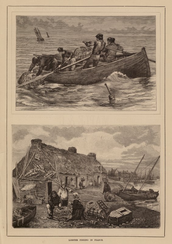 Pesca da lagosta, França (gravura) de English School