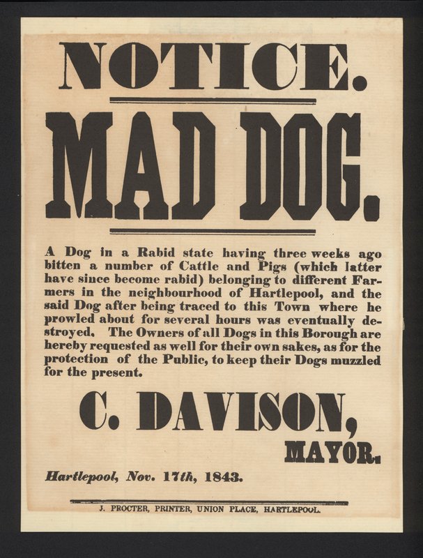 Aviso do cão louco, Hartlepool, 1843 de English School