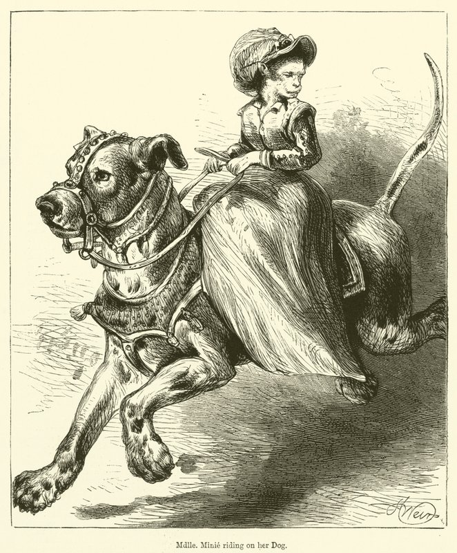 Mademoiselle Minie montado no seu cão (gravura) de English School
