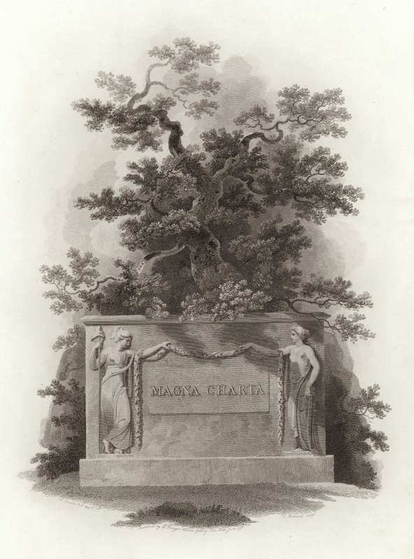 Magna Charta de English School