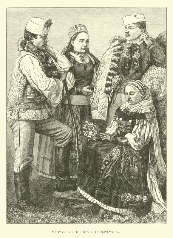 Magyars de Torotzko, Transylvania de English School