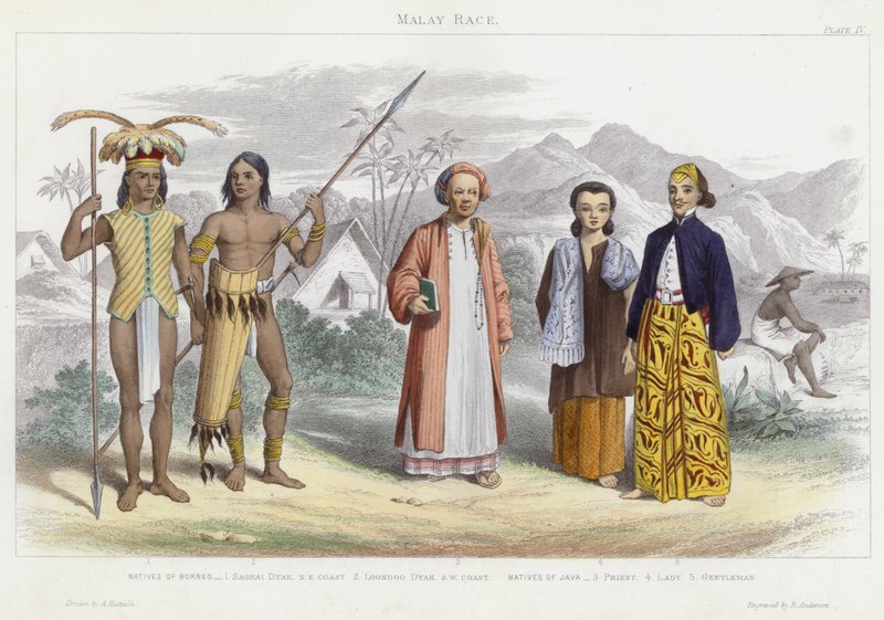 Malay Race (gravação a cores) de English School