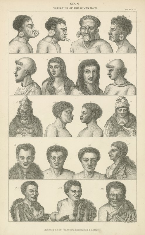 Caramba. Variedades da raça humana (gravura) de English School