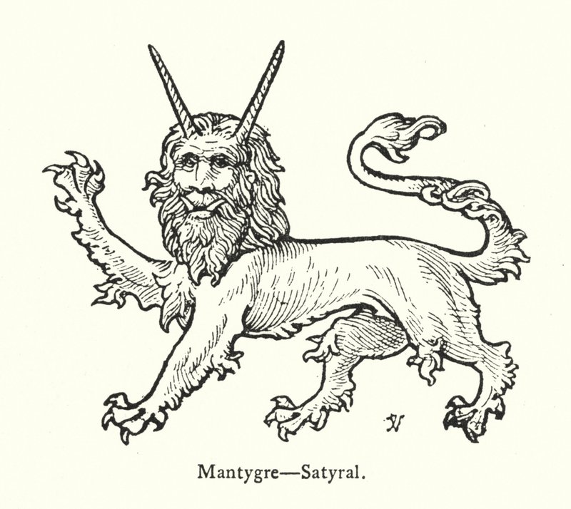 Mantygre, Satyral (gravura) de English School