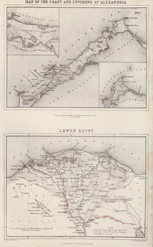 Mapa: Mapa da costa e arredores de Alexandria; Baixo Egipto (litografia a cores) de English School