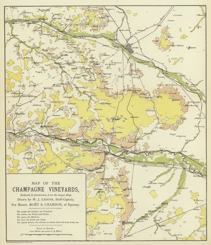 Mapa das vinhas de Champagne (litografia a cores) de English School