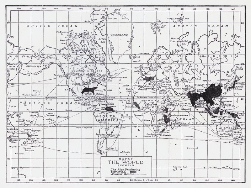 Mapa do mundo com os países produtores de arroz (litografia) de English School