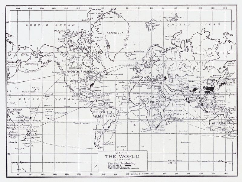 Mapa do mundo mostrando os países produtores de chá de English School