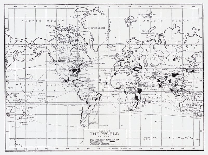 Mapa do mundo mostrando os países produtores de tabaco de English School