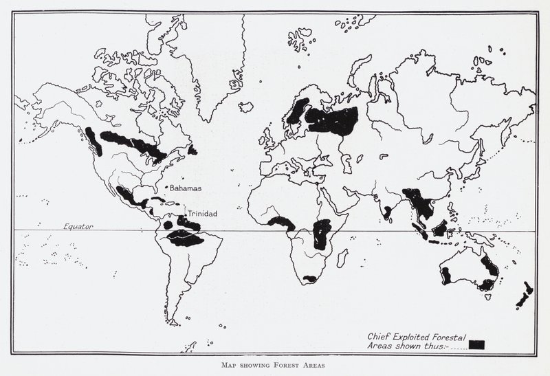 Mapa mostrando áreas florestais (litho) de English School