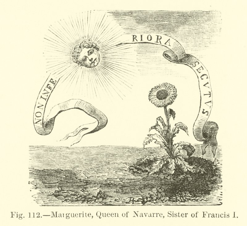Marguerite, Rainha de Navarra, Irmã de Francisco I de English School