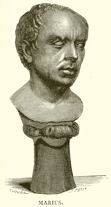 Marius de English School