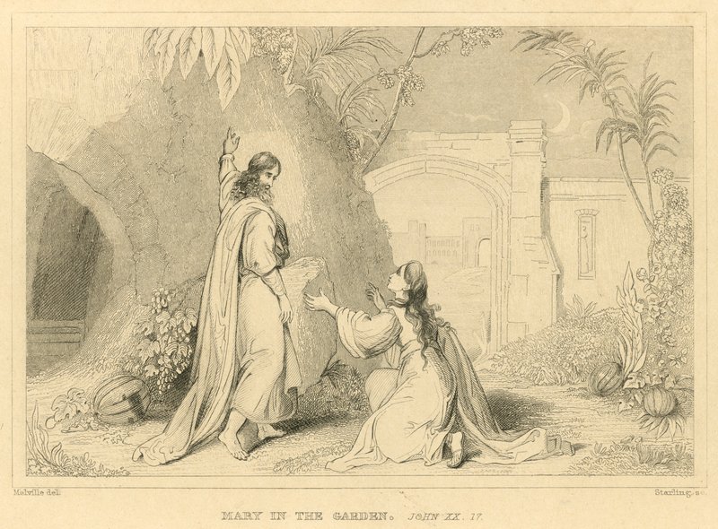 Maria no jardim, João XX de English School