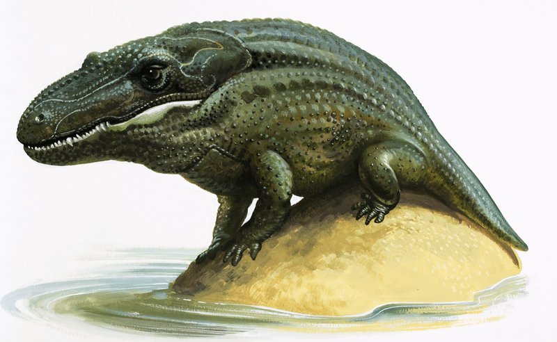 Mastodossauro de English School