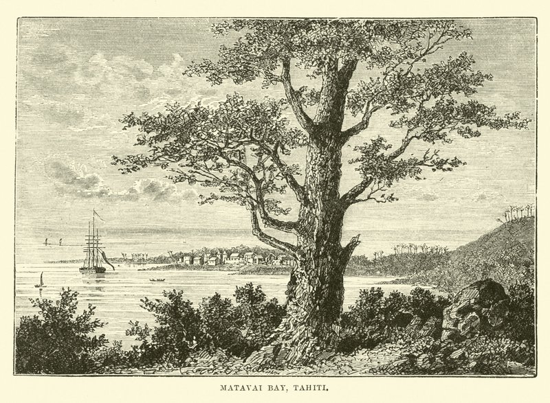 Baía de Matavai, Taiti de English School