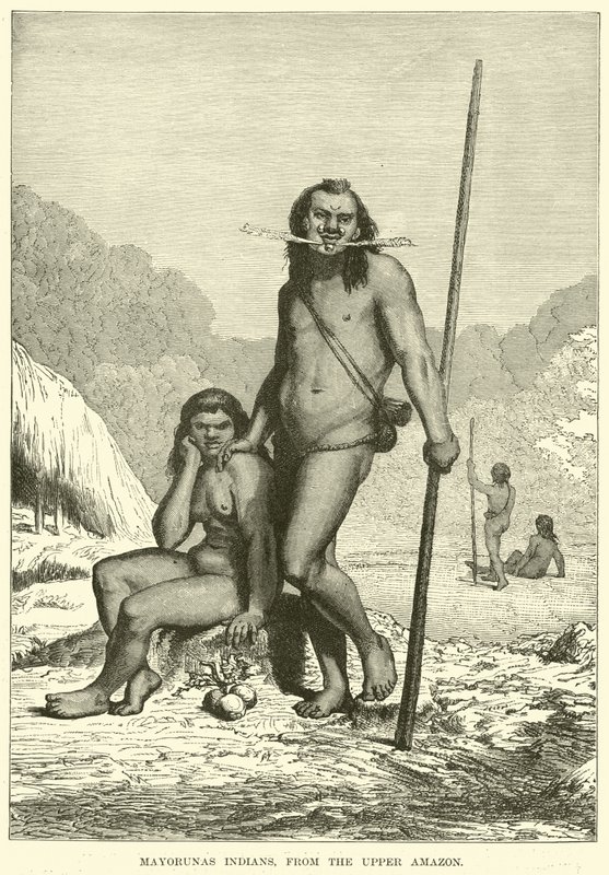 Índios Mayorunas, do alto Amazonas de English School