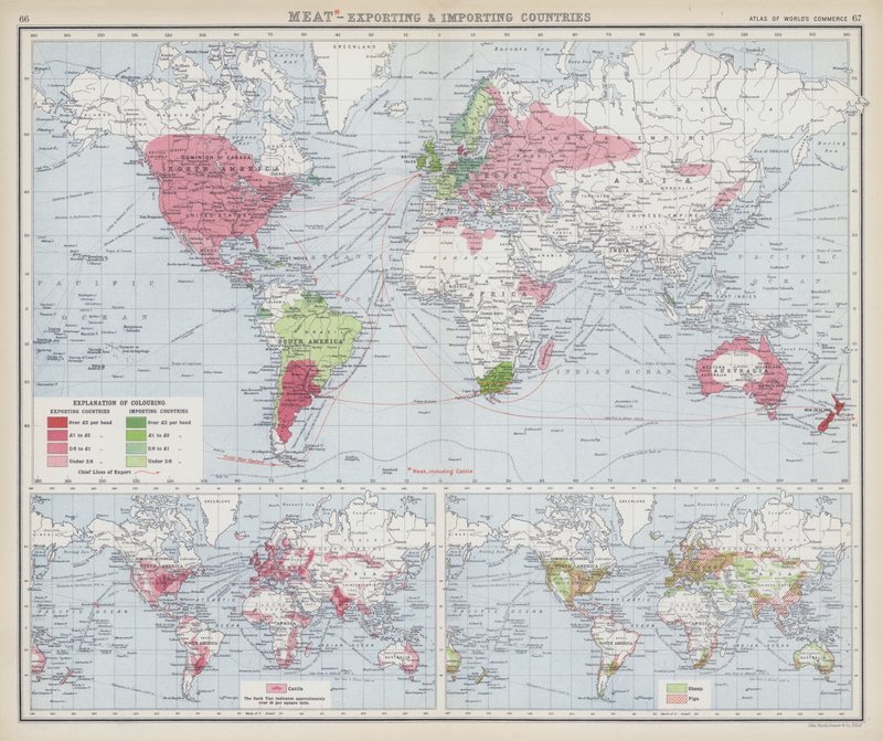 Carne, países exportadores e importadores (litografia a cores) de English School