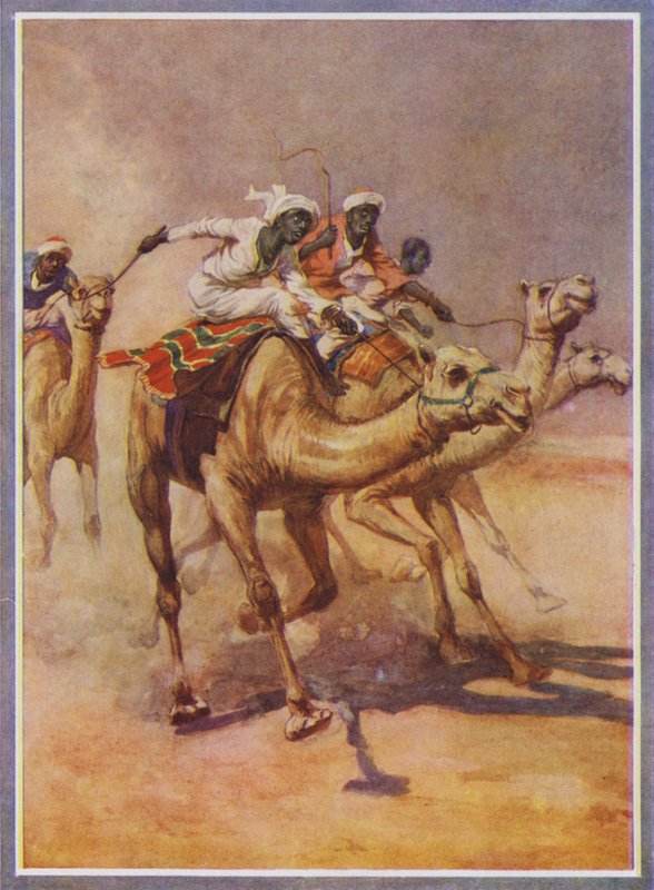 Homens montando camelos em uma corrida no deserto (lito colorido) de English School