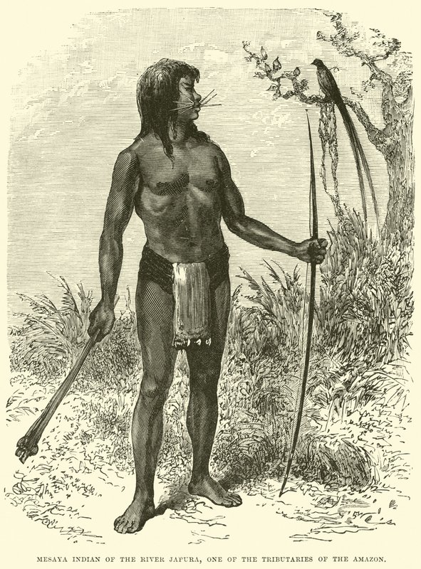Mesaya Indígena do Rio Japura, um dos Afluentes da Amazônia de English School