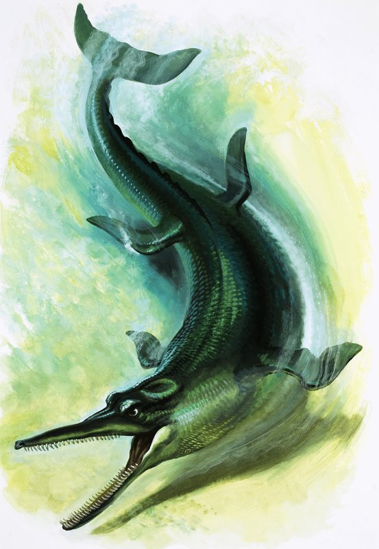 Metriorhynchus de English School