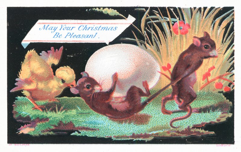 Ratos, pintainho e ovo, cartão de Natal de English School