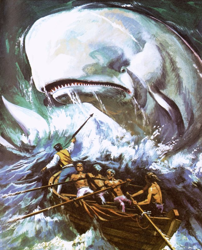 Moby Dick de English School