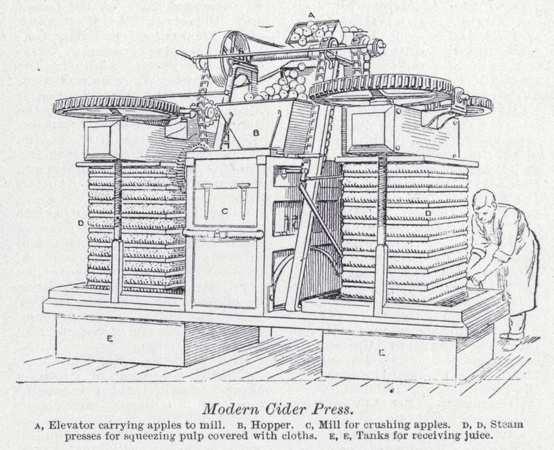 Prensa de cidra moderna (litho) de English School