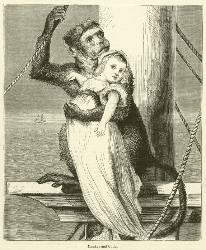 Macaco e criança (gravura) de English School