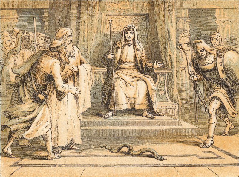 Moisés e Arão perante o faraó (gravura colorida) de English School