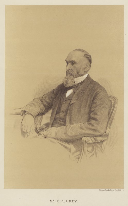 Sr. G A Grey (litho) de English School