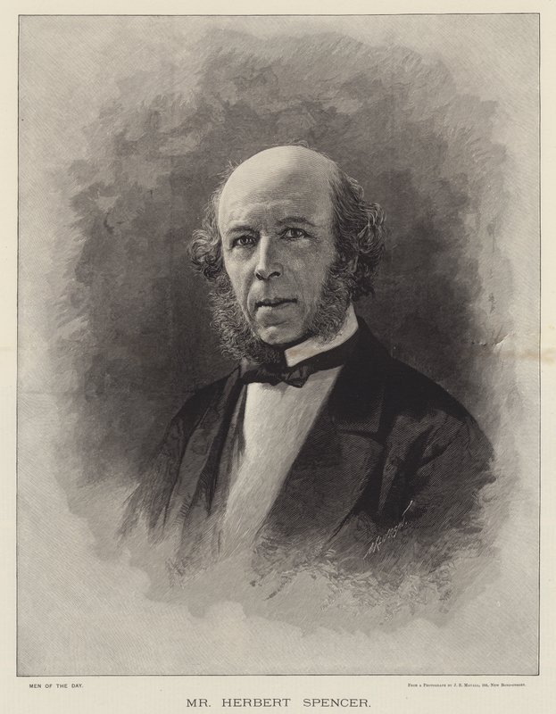 Sr. Herbert Spencer (gravura) de English School