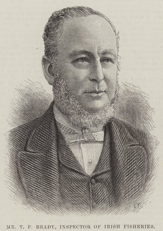 Sr. T F Brady, Inspector das Pescas Irlandesas (gravura) de English School
