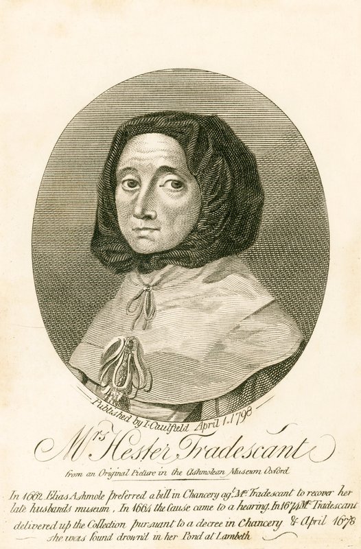 Mrs Hester Tradescant de English School