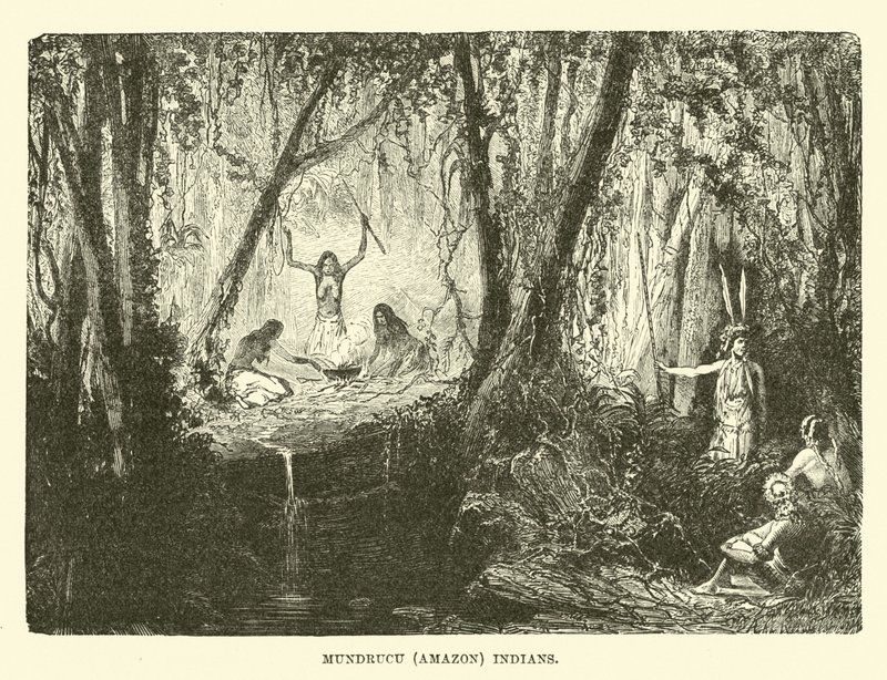 Índios Mundrucu (Amazonas) de English School