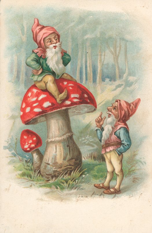 Cogumelo com gnomos de English School