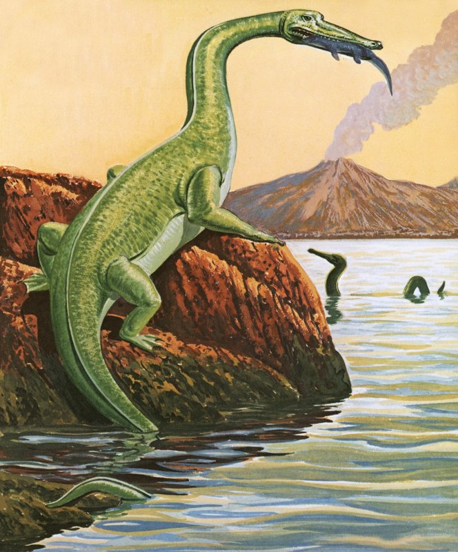 Nathosaurus tendo uma refeição de English School