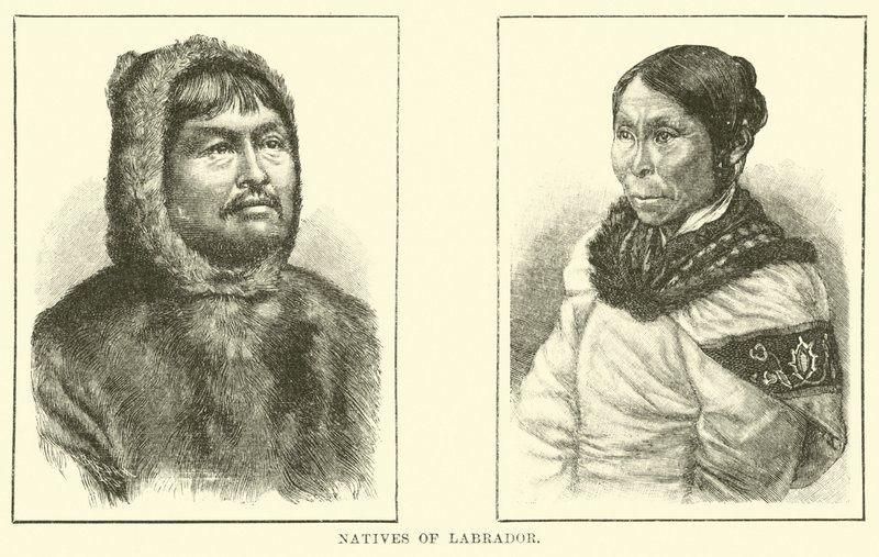 Nativos de labrador de English School