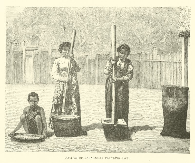 Nativos de Madagascar batendo arroz de English School
